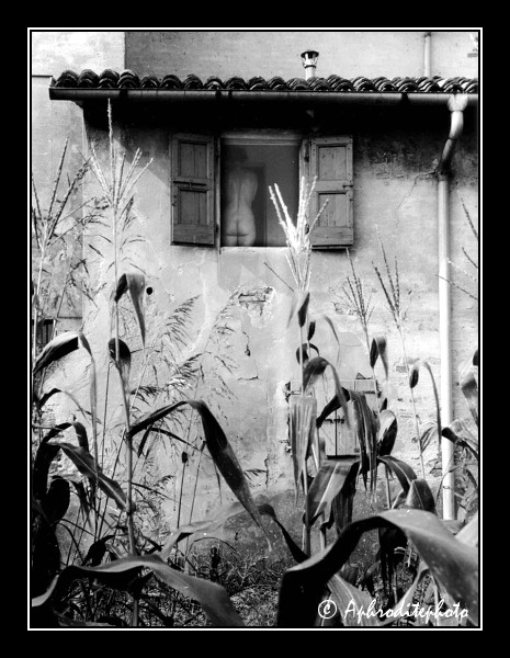 308 Toilette du matin 3